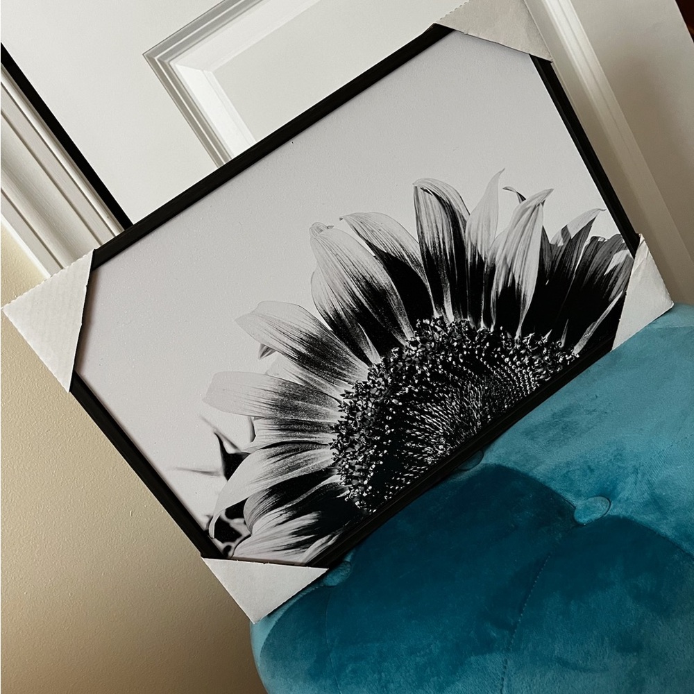 Sunflower B&W Wall Decor